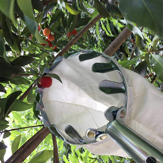 Fruit Picker Head Basket（40% OFF）